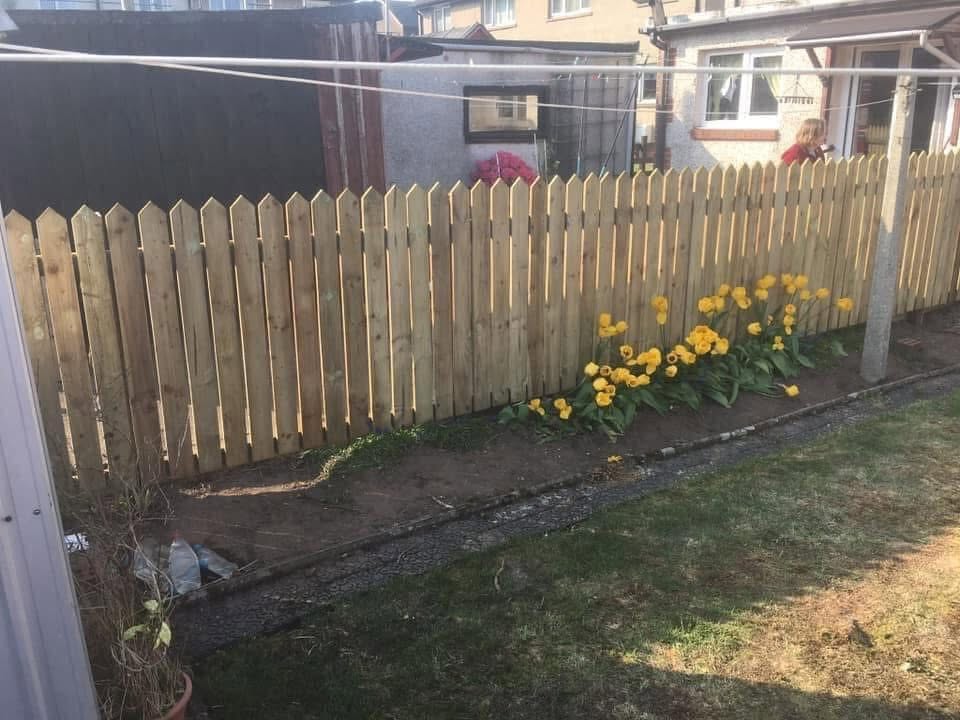 Timber picket fence